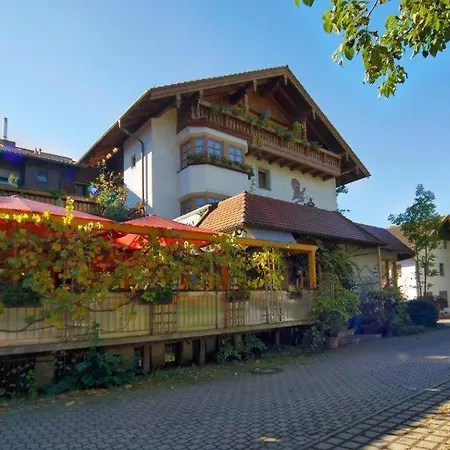 Land-gut-hotel Landgasthof Zum Schildhauer Halfing
